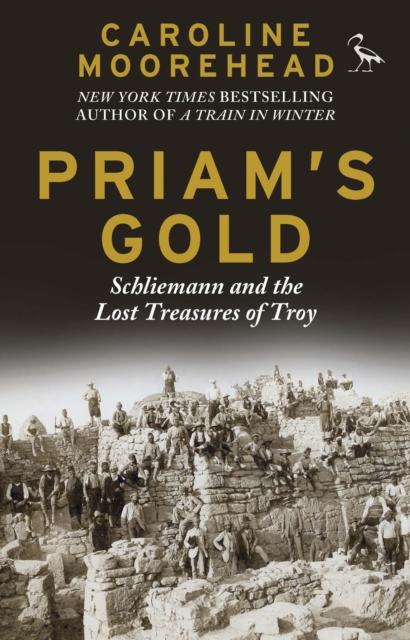 Priam's Gold : Schliemann and the Lost Treasures of Troy, Paperback / softback Book