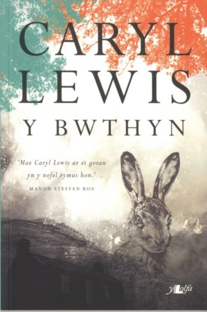 Bwthyn, Y, Paperback / softback Book