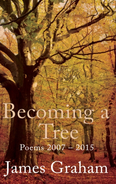 Becoming a Tree, Paperback / softback Book