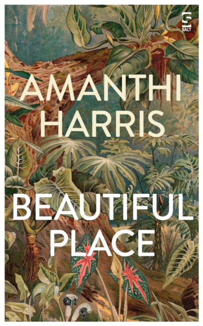 Beautiful Place, Paperback / softback Book
