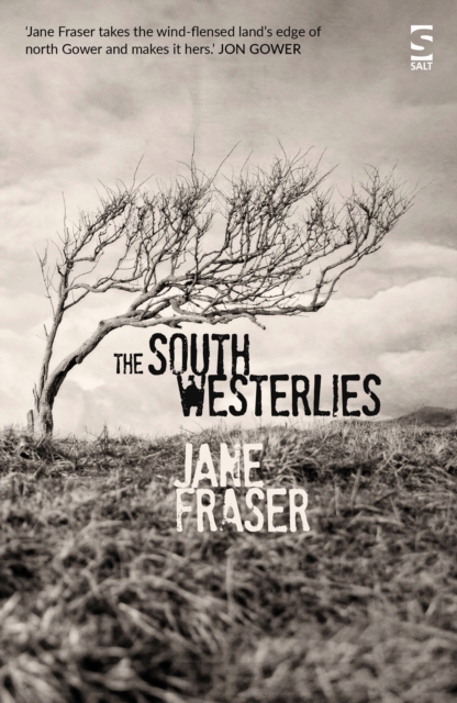 The South Westerlies, Paperback / softback Book