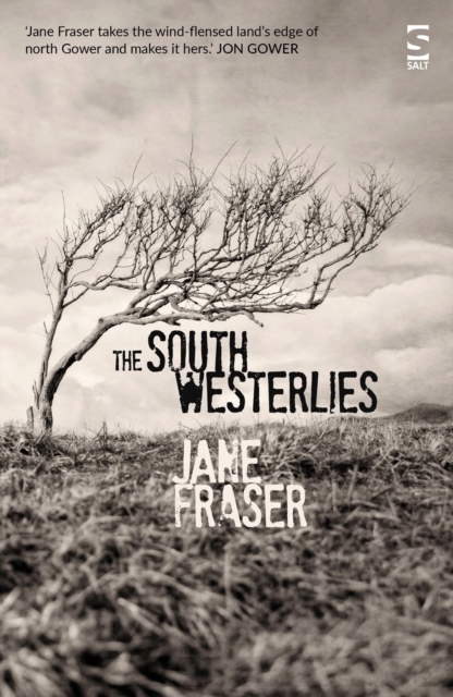 The South Westerlies, EPUB eBook