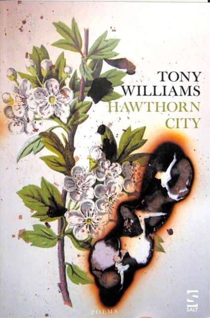 Hawthorn City, Paperback / softback Book