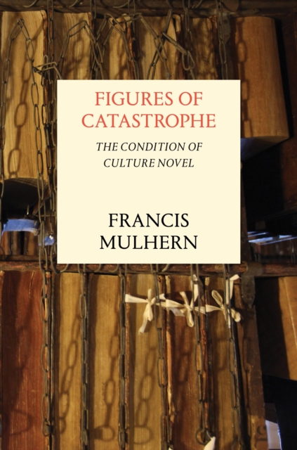 Figures of Catastrophe : The Condition of Culture Novel, Hardback Book