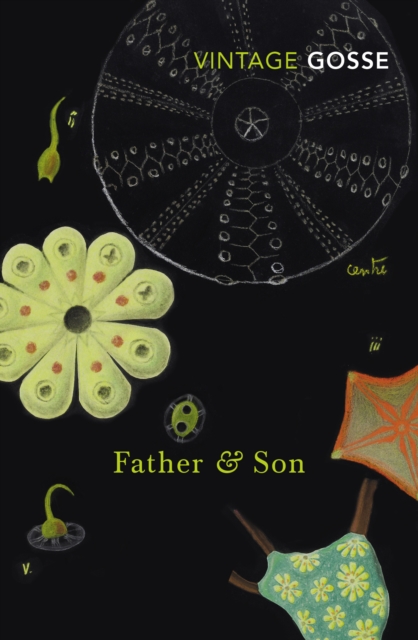 Father and Son, Paperback / softback Book