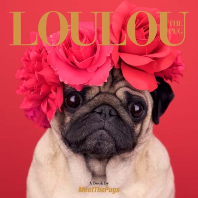 Loulou the Pug, Hardback Book