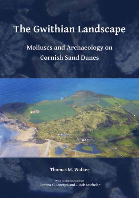 The Gwithian Landscape: Molluscs and Archaeology on Cornish Sand Dunes, PDF eBook