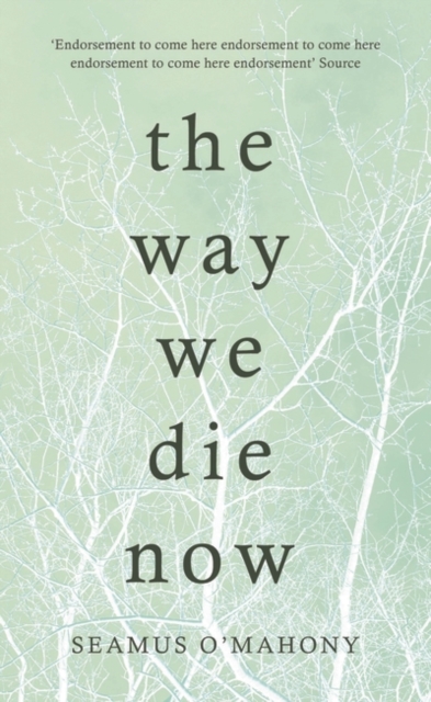 The Way We Die Now, Hardback Book