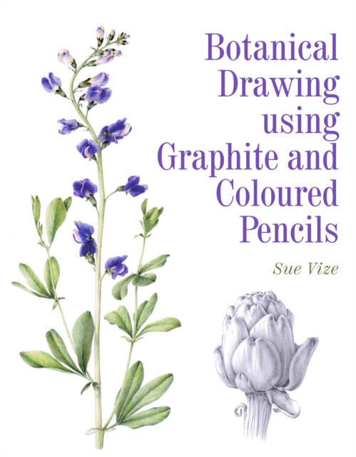 Botanical Drawing using Graphite and Coloured Pencils, Paperback / softback Book