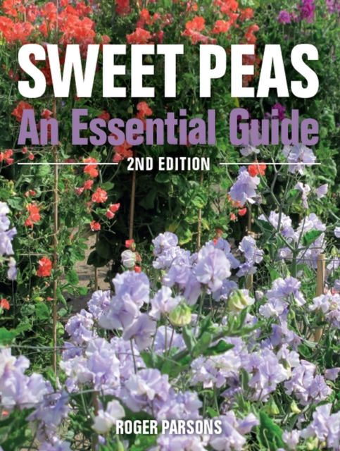 Sweet Peas : An Essential Guide - 2nd Edition, Paperback / softback Book