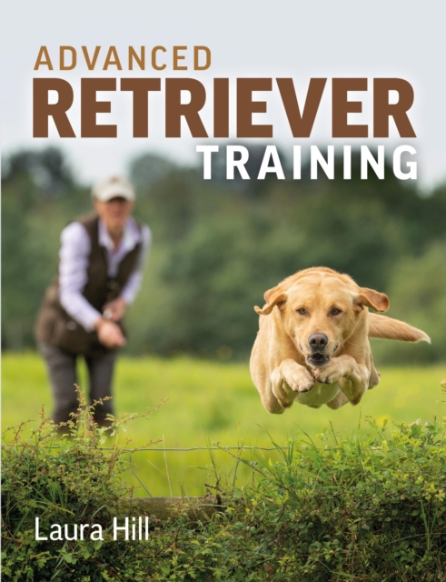 Advanced Retriever Training, EPUB eBook