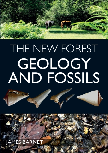 The New Forest : Geology and Fossils, Paperback / softback Book