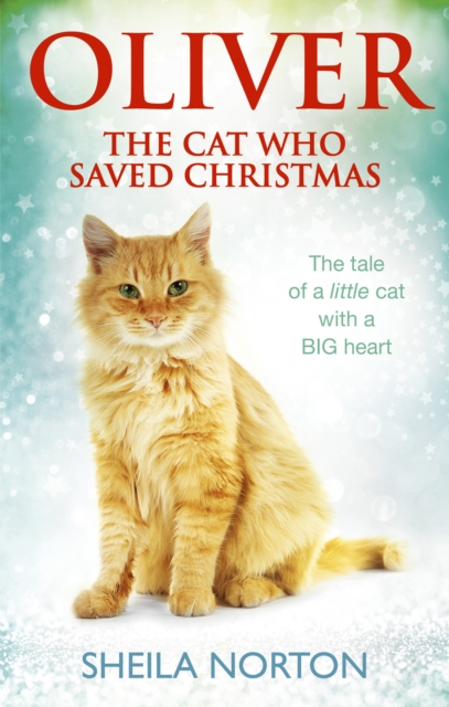Oliver The Cat Who Saved Christmas, Paperback / softback Book
