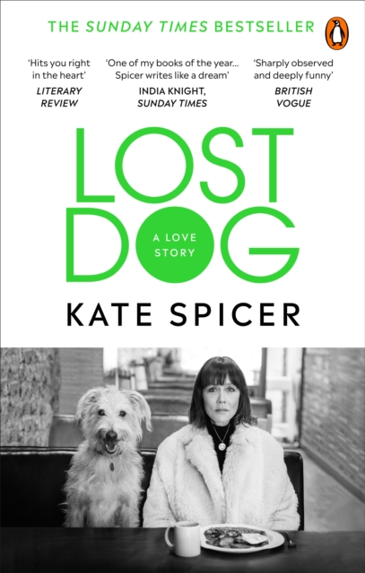 Lost Dog : A Love Story, Paperback / softback Book