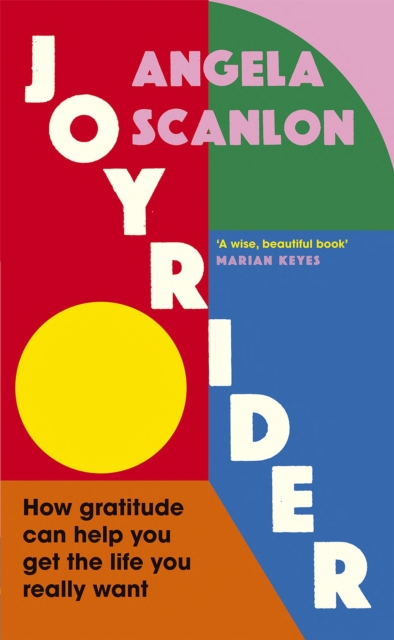 Joyrider : How gratitude can help you get the life you really want, Hardback Book