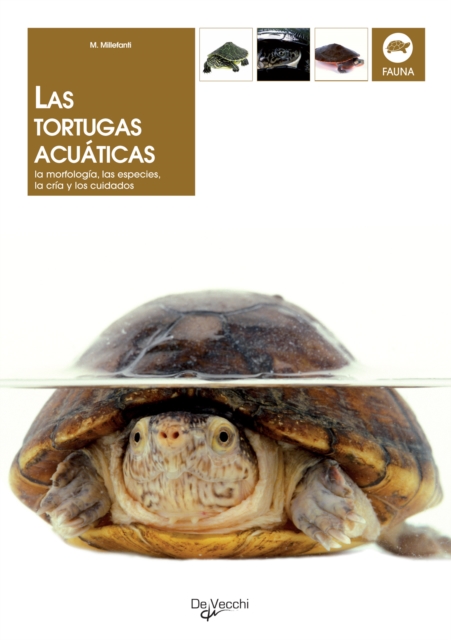 Las tortugas acuaticas, EPUB eBook