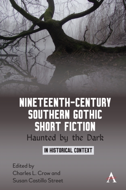 Nineteenth-Century Southern Gothic Short Fiction : Haunted by the Dark, Hardback Book