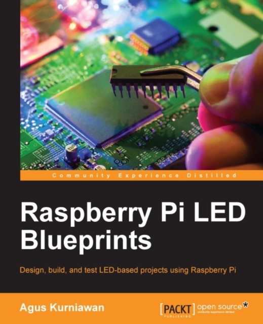 Raspberry Pi LED Blueprints, EPUB eBook