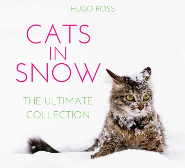 Cats in Snow : The Ultimate Collection, Hardback Book