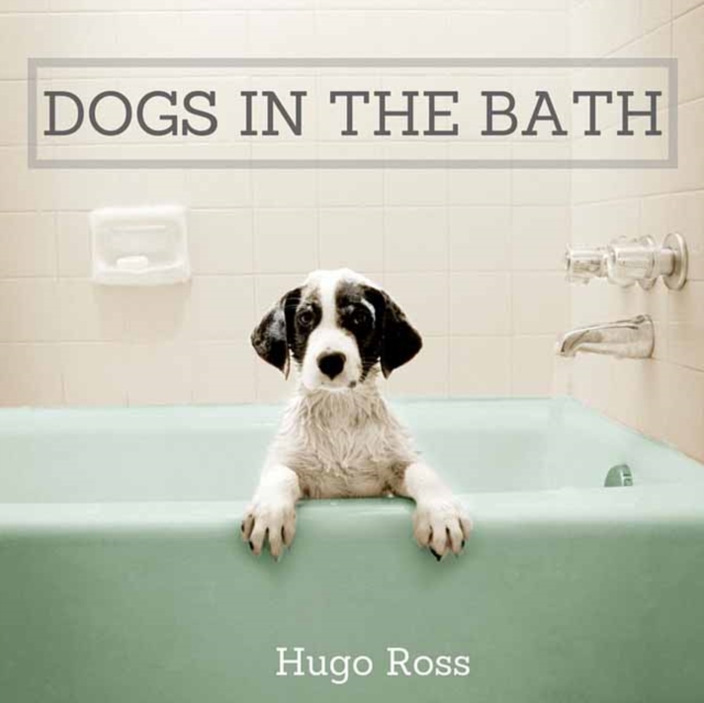 Dogs in the Bath : The Ultimate Collection, Hardback Book