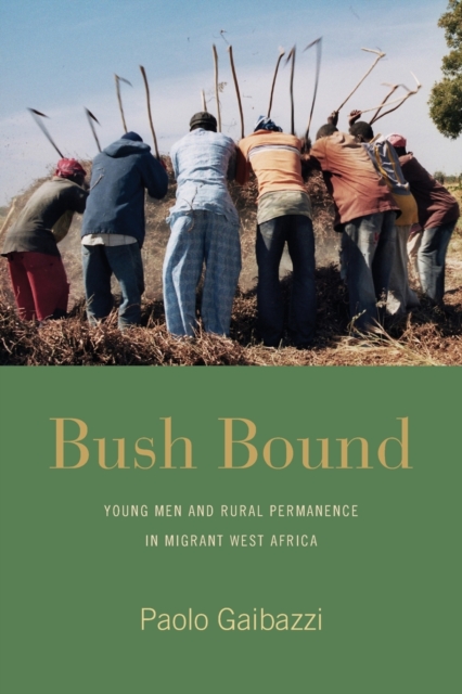 Bush Bound : Young Men and Rural Permanence in Migrant West Africa, Paperback / softback Book