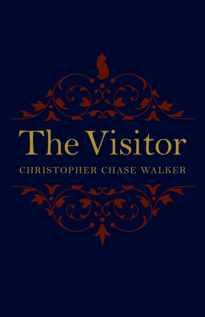 Visitor, The, Paperback / softback Book