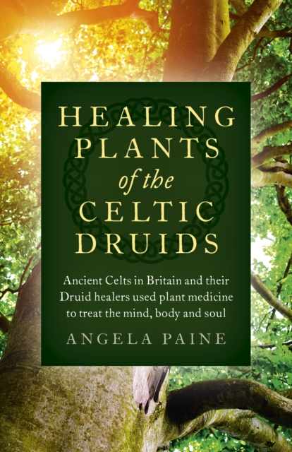 Healing Plants of the Celtic Druids : Ancient Celts in Britain and their Druid healers used plant medicine to treat the mind, body and soul, Paperback / softback Book