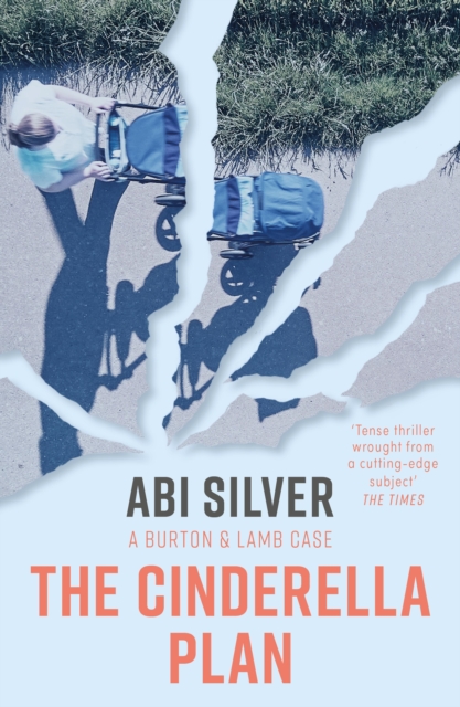 The Cinderella Plan, EPUB eBook