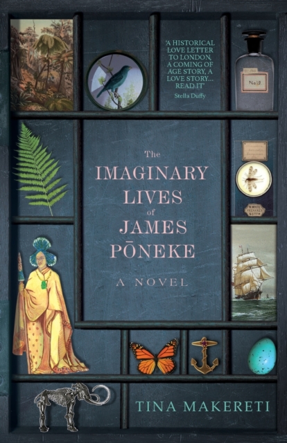 The Imaginary Lives of James Poneke, Paperback / softback Book