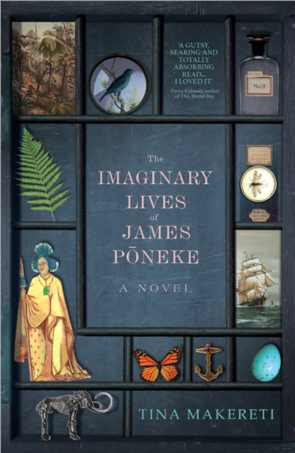 The Imaginary Lives of James Poneke, EPUB eBook