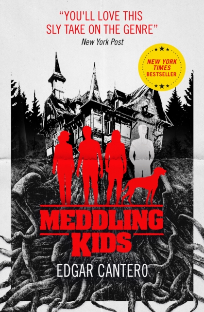 Meddling Kids, Paperback / softback Book