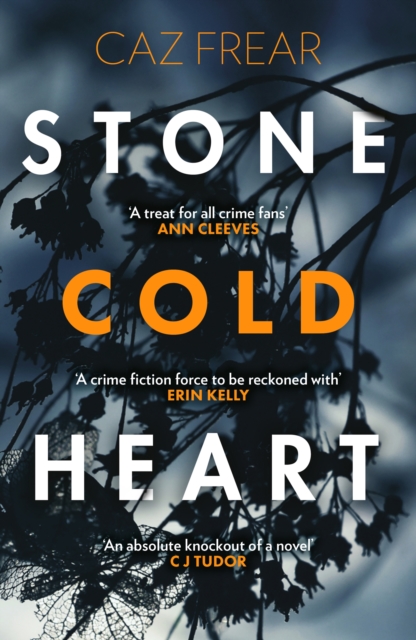 Stone Cold Heart : the addictive new thriller from the author of Sweet Little Lies, EPUB eBook