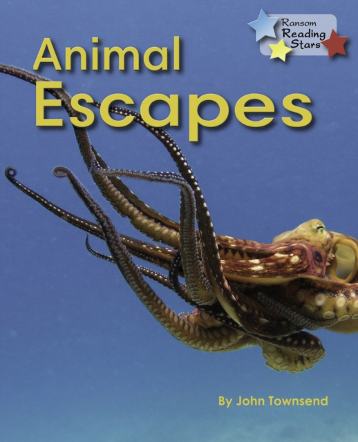 Animal Escapes, PDF eBook