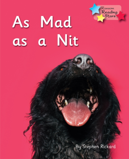 As Mad as a Nit : Phonics Phase 2, PDF eBook