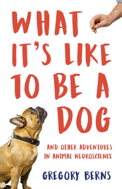 What It's Like to Be a Dog : And Other Adventures in Animal Neuroscience, EPUB eBook