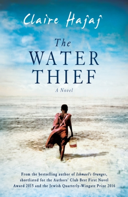 The Water Thief, Hardback Book