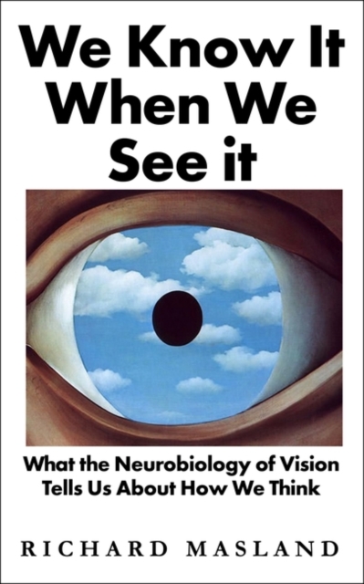 We Know It When We See It : What the Neurobiology of Vision Tells Us About How We Think, Hardback Book
