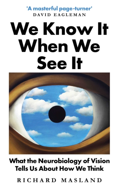 We Know It When We See It : What the Neurobiology of Vision Tells Us About How We Think, EPUB eBook