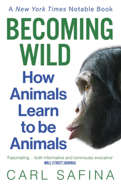 Becoming Wild : How Animals Learn to be Animals, Paperback / softback Book