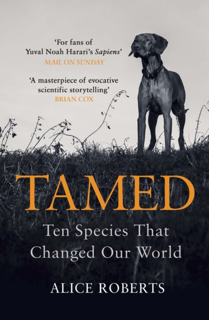 Tamed : Ten Species that Changed our World, Paperback / softback Book