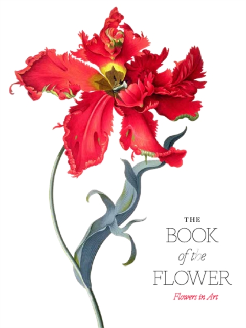 The Book of the Flower : Flowers in Art, Paperback / softback Book