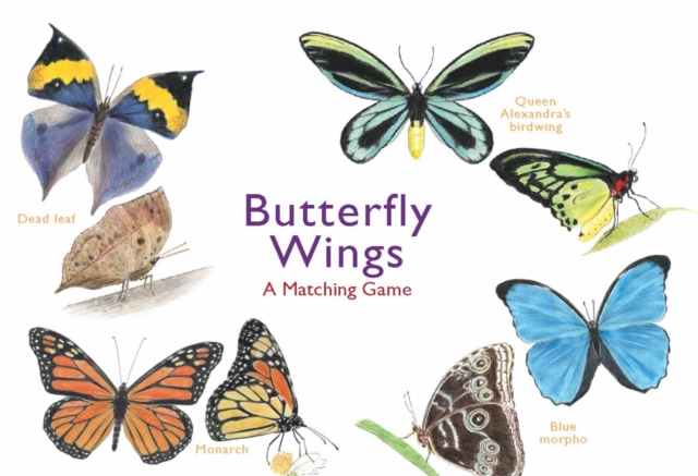 Butterfly Wings : A Matching Game, Cards Book
