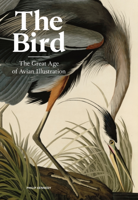 The Bird : The Great Age of Avian Illustration, Hardback Book