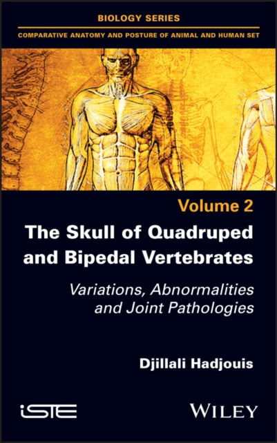 The Skull of Quadruped and Bipedal Vertebrates : Variations, Abnormalities and Joint Pathologies, Hardback Book