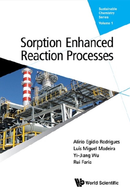 Sorption Enhanced Reaction Processes, EPUB eBook