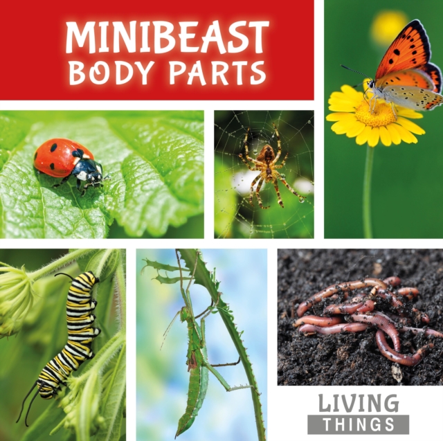 Minibeast Body Parts, Hardback Book