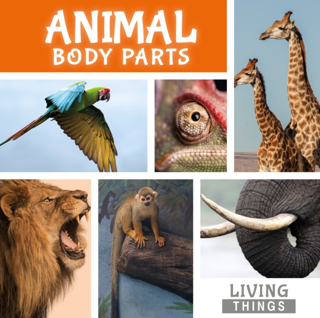 Animal Body Parts, Hardback Book