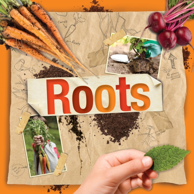 Roots, Hardback Book
