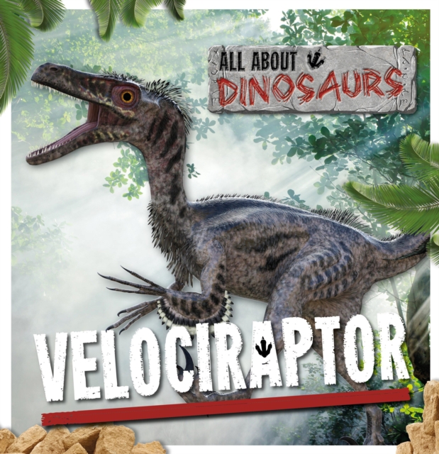 Velociraptor, Hardback Book