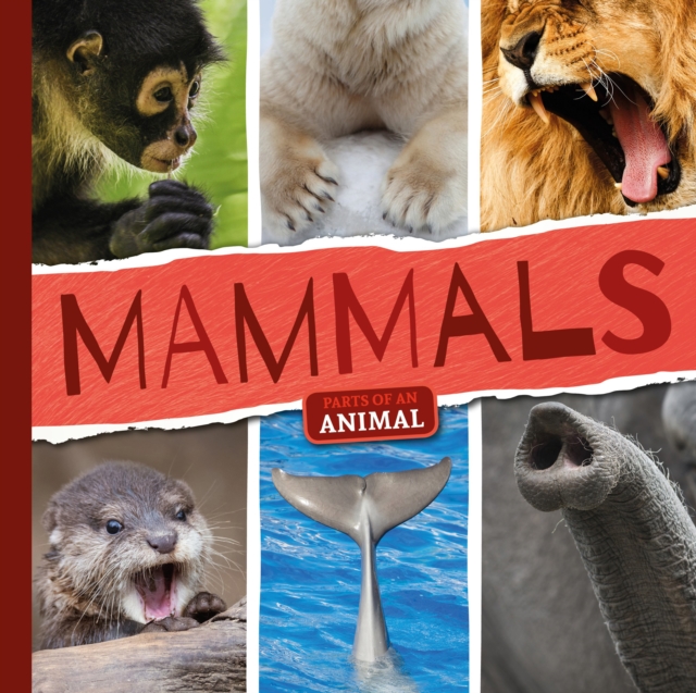 Mammals, Hardback Book